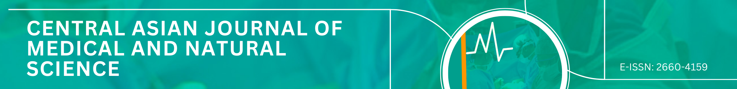 Page Header Logo